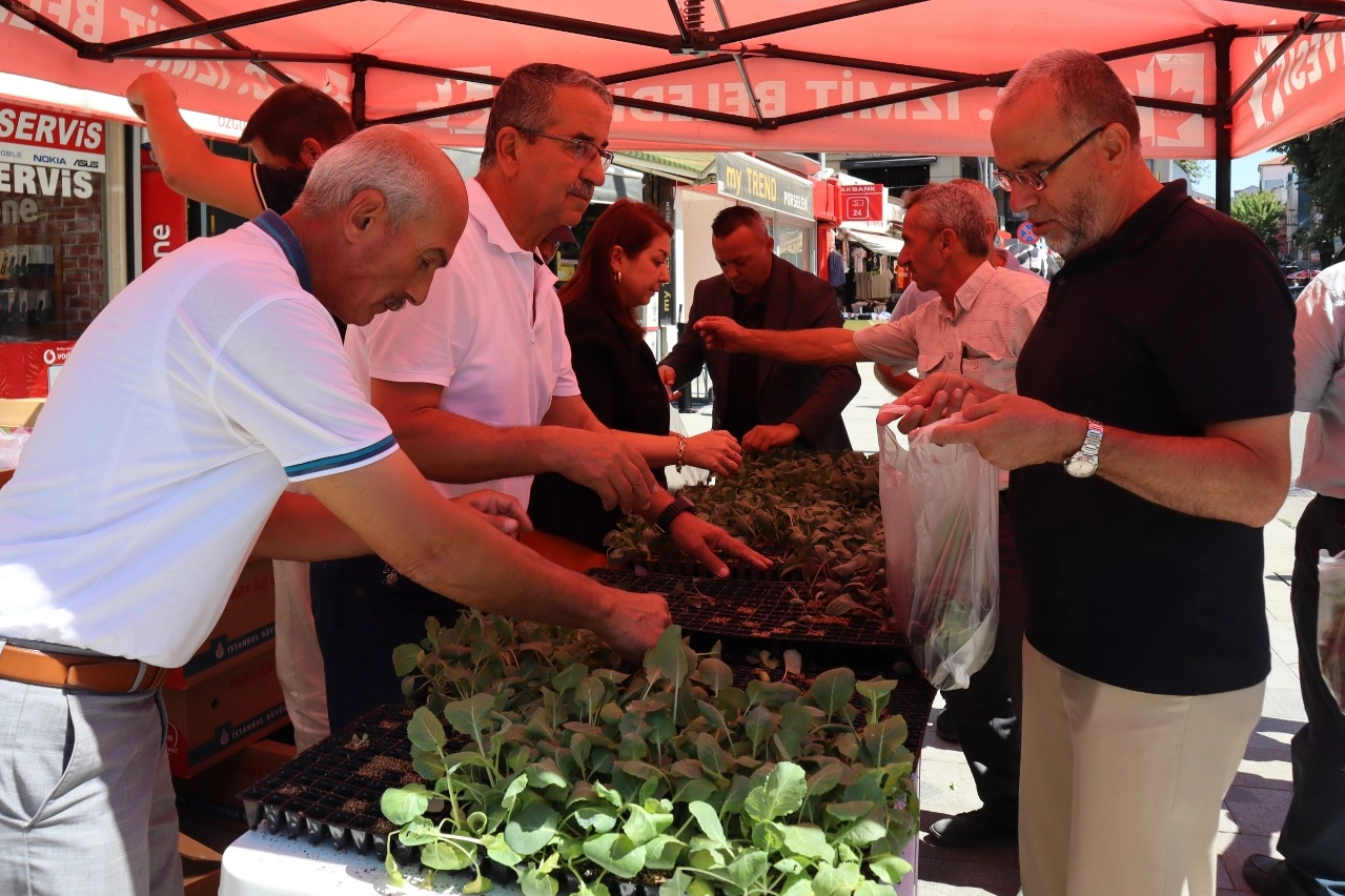 İzmit'ten vatandaşlara fide hediyesi 