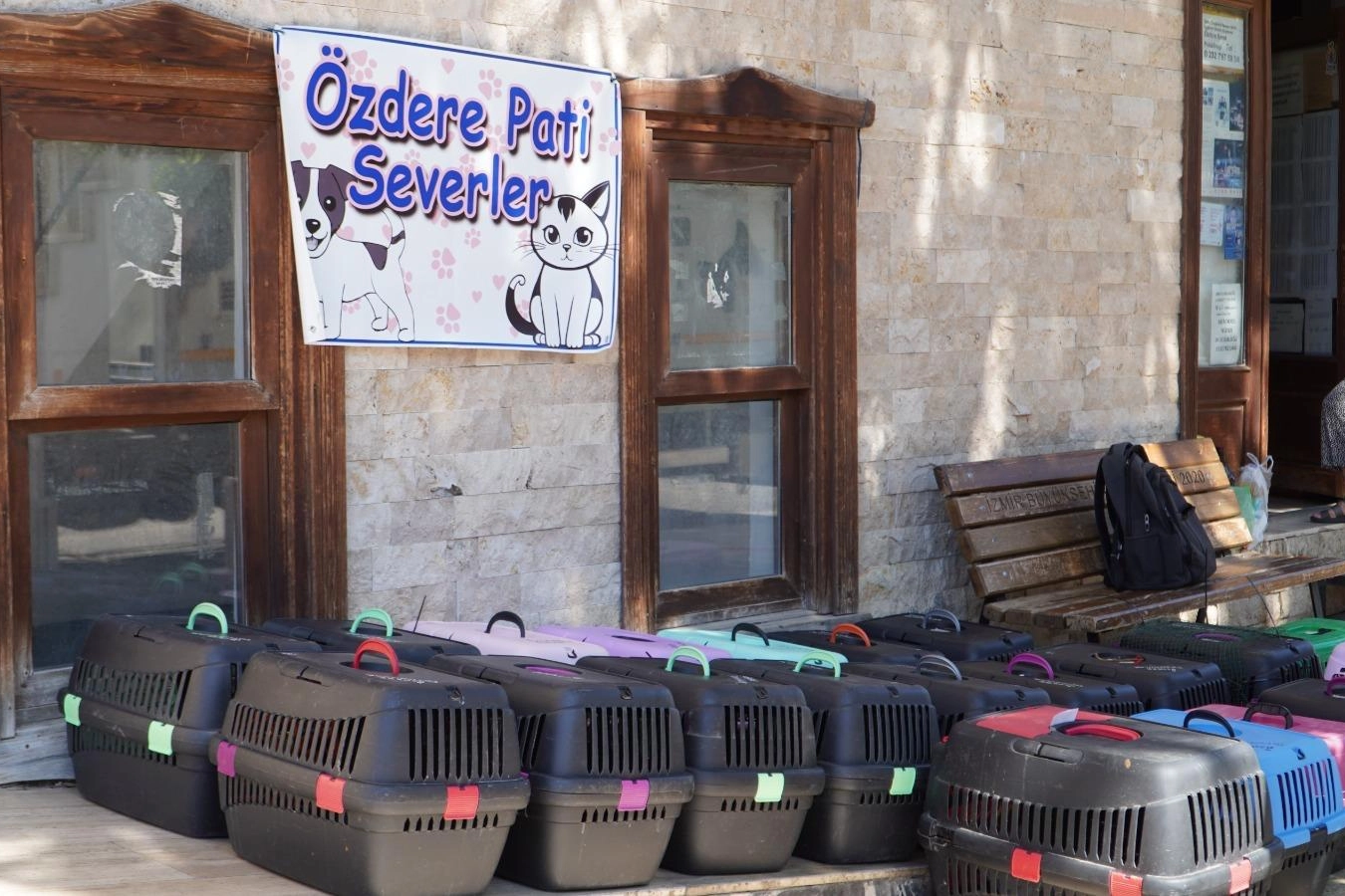 İzmir'de 7 bin kediye mobil kısırlaştırma 