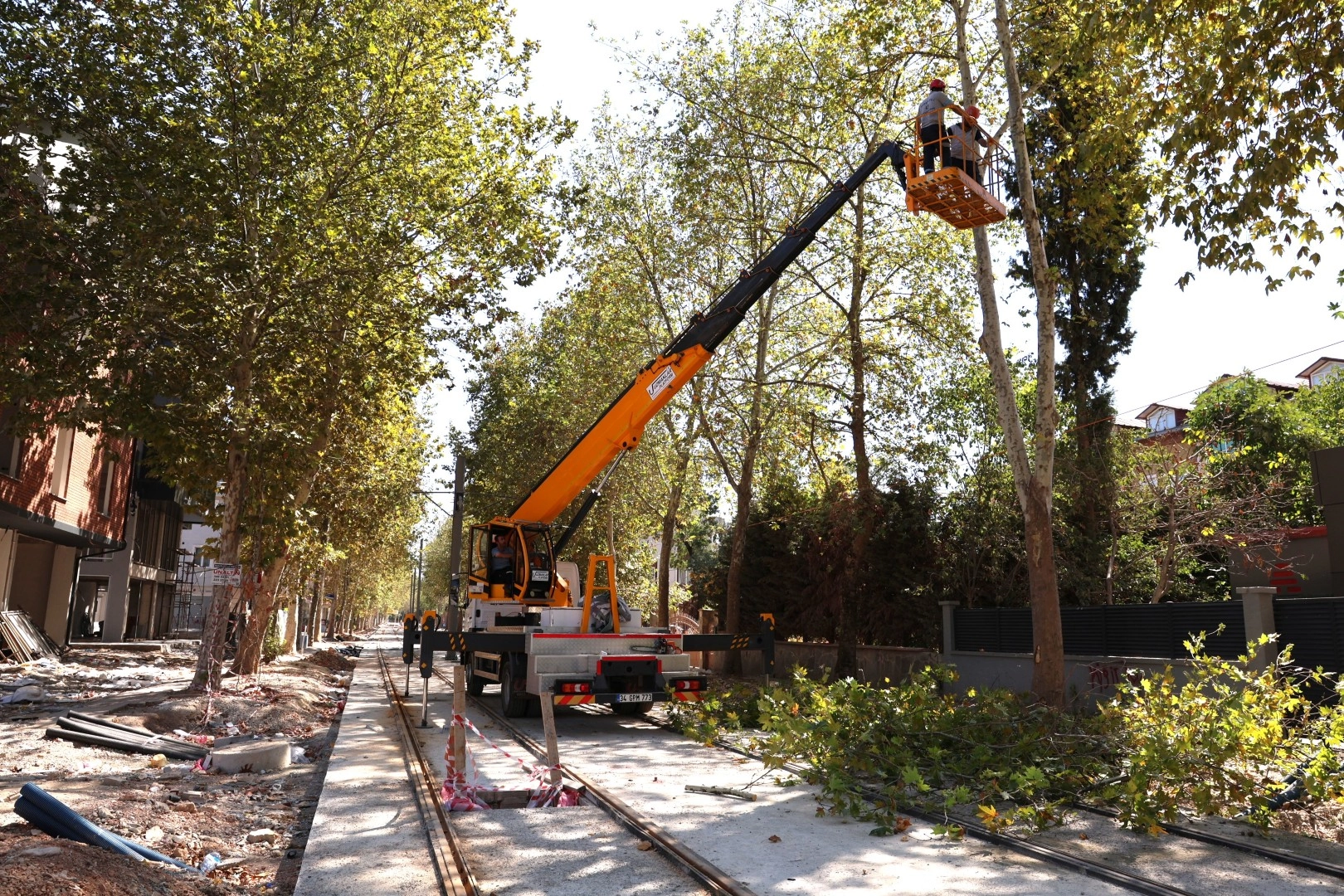 Alikahya Tramvay Hattı için ağaçlara itinalı budama 