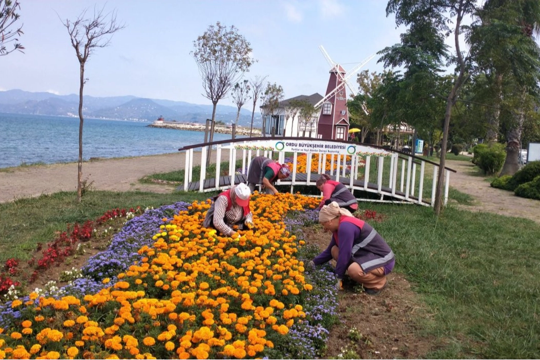 Ordu’da kent estetiğine Büyükşehir dokunuşu 