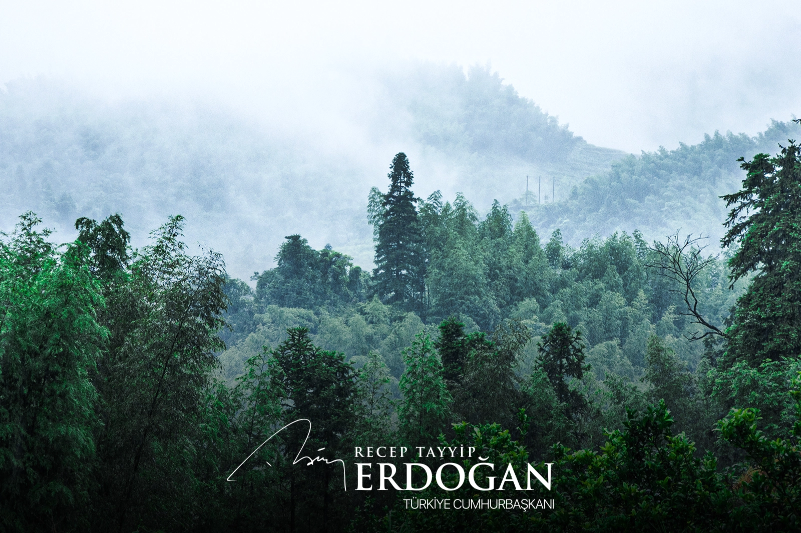 Cumhurbaşkanı Erdoğan’dan 'Yeşil Vatan Seferberliği' çağrısı 