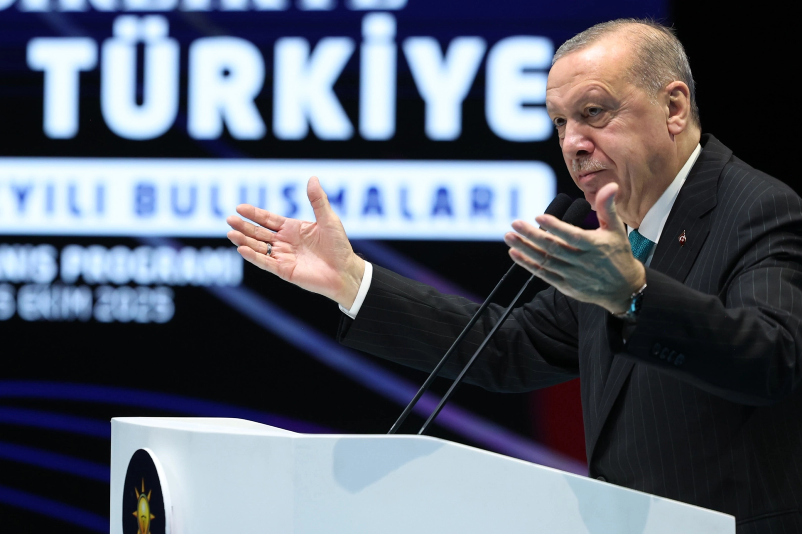 Cumhurbaşkanı Erdoğan: Soğukkanlılıkla menzile yürüyoruz 