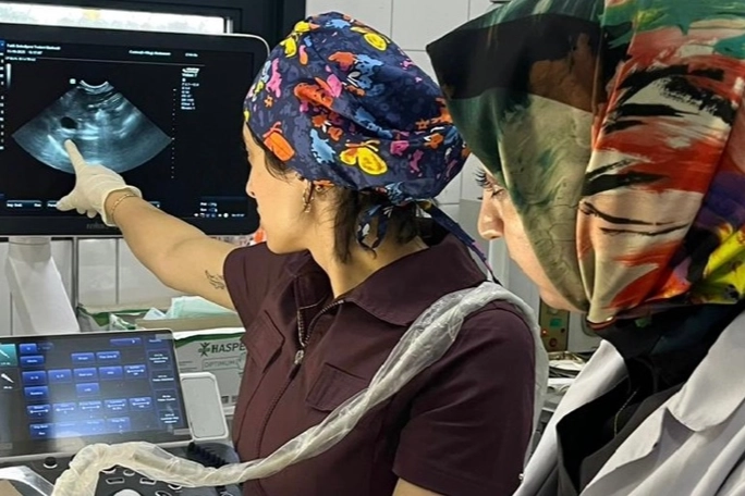 Fatih Belediyesi'nden sokak hayvanlarına modern tanı hizmeti 