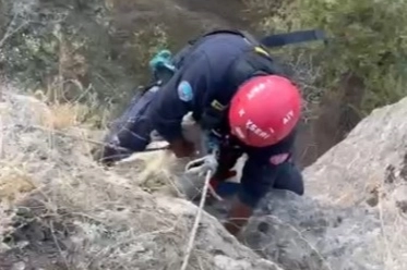 Kayseri Büyükşehir itfaiyesi mahsur kalan keçiyi kurtardı 