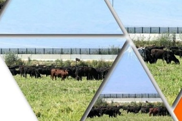 TİGEM’den 'Kırsalda Bereket Hayvancılığa Destek Projesi' için yeni duyuru 