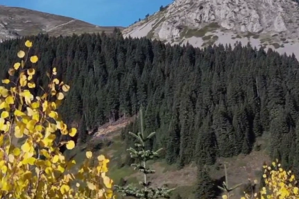 Ilgaz Dağı sonbaharda renk cümbüşü 