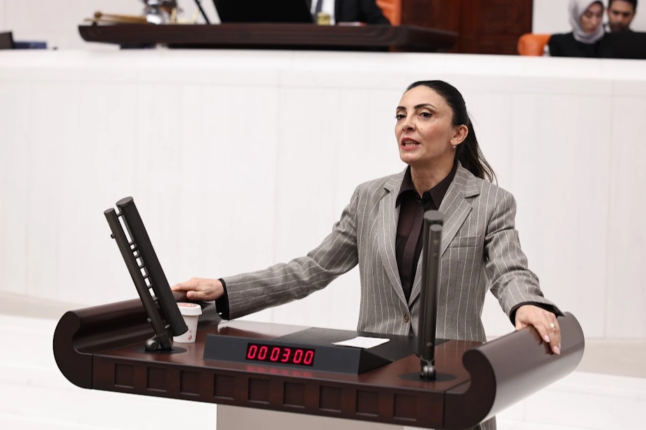 Nurhayat Altaca Kayışoğlu: “Özgür sanat olmadan demokrasi olmaz” 