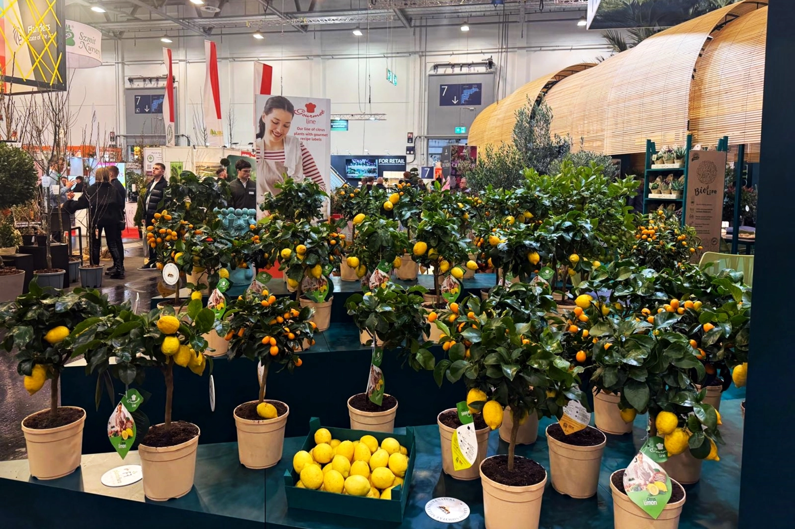 Kestel’in yeşil gücü Almanya’da görücüye çıktı 