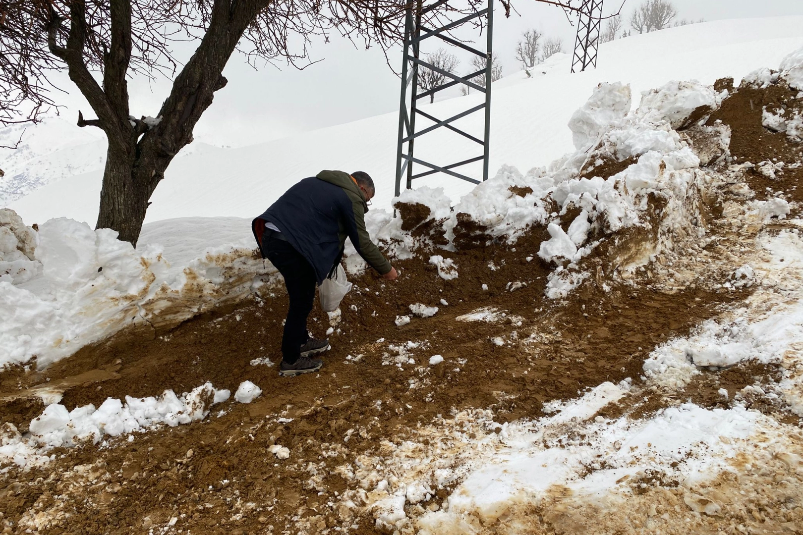 Batman Sason’da yabani hayvanlar için yemleme çalışması 