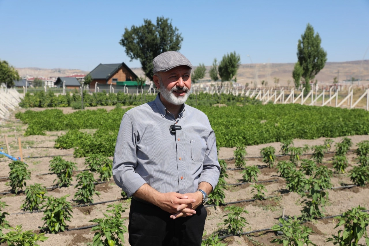 Kayseri Kocasinan'dan çiftçilere büyük destek 