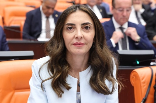 CHP’li Altaca Kayışoğlu'ndan 'alt komisyon' çağrısı 