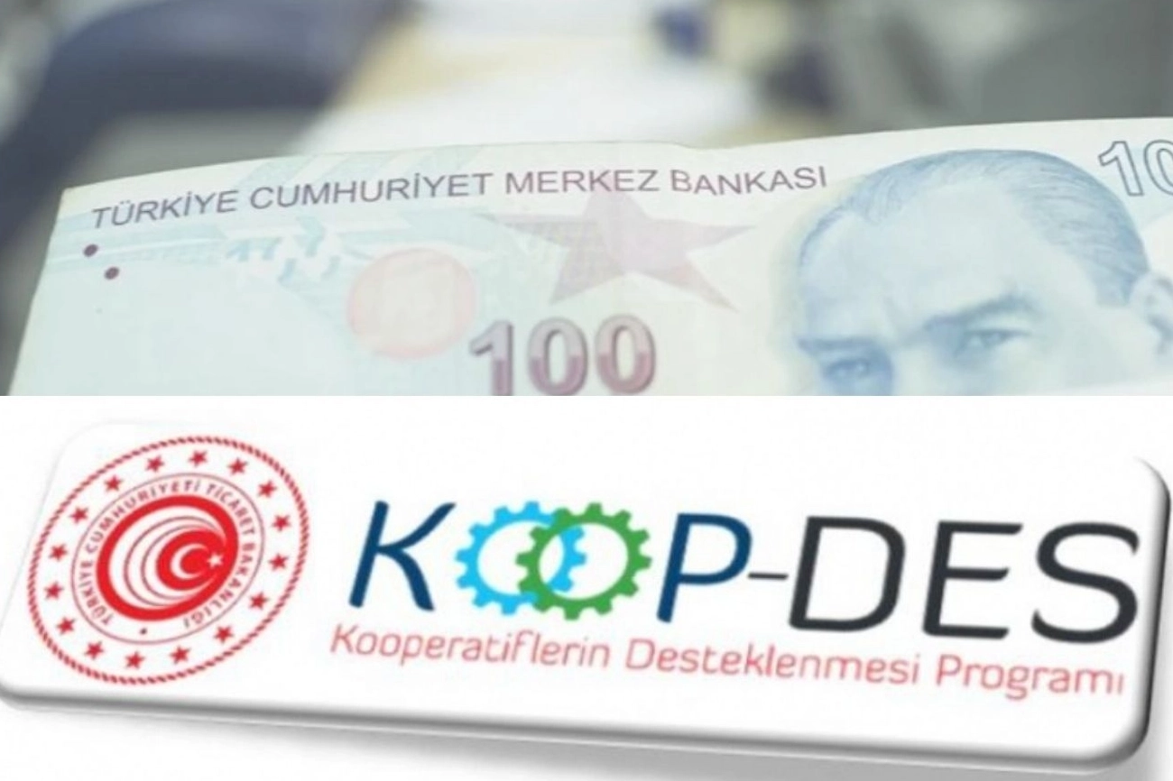 KOOP-DES Yönetmeliği’nde değişiklik Resmi Gazete'de 