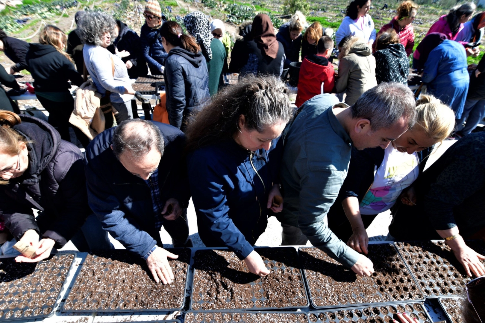 Toprak kadınlarla canlanıyor 