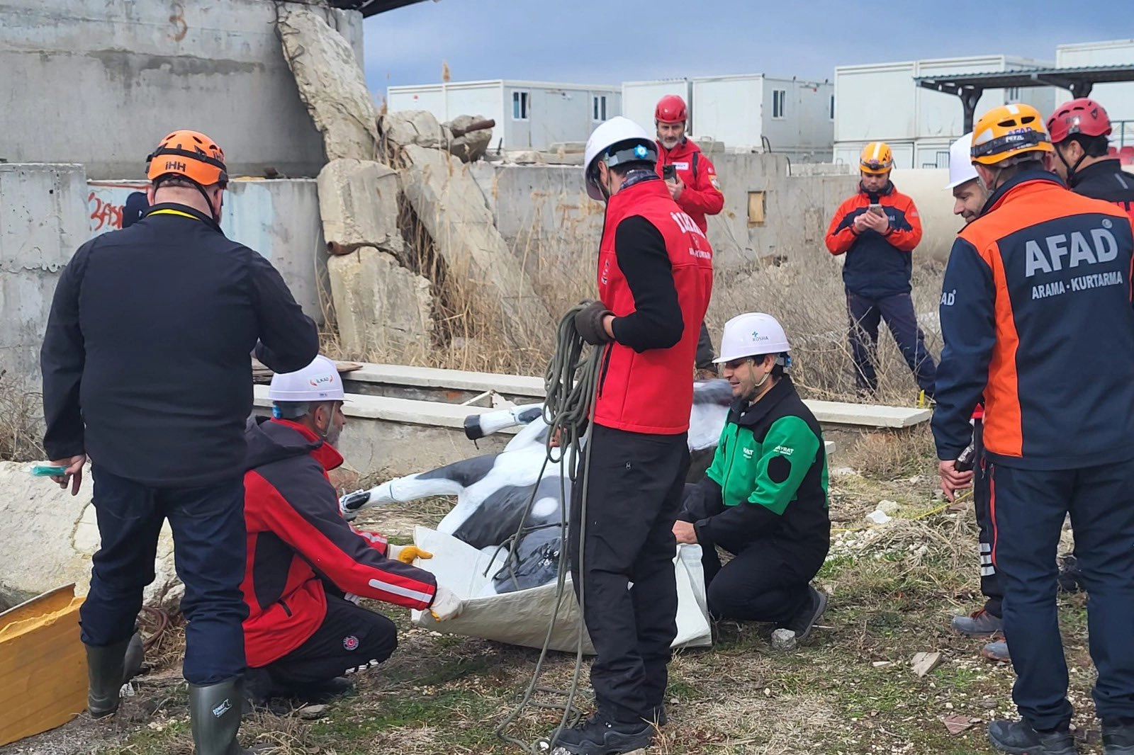 AFAD’dan uluslararası iş birliğiyle hayvan koruma projesi... RESQ-ANIMALS başladı 