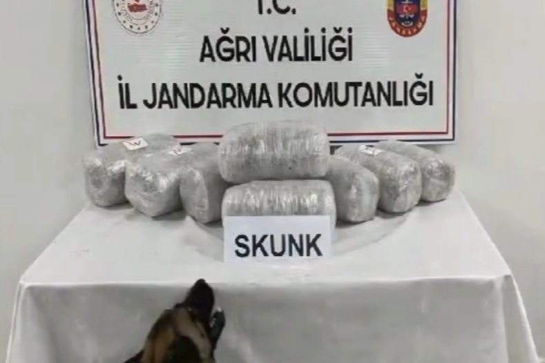 Ağrı’da 10 kilogram skunk ele geçirildi 