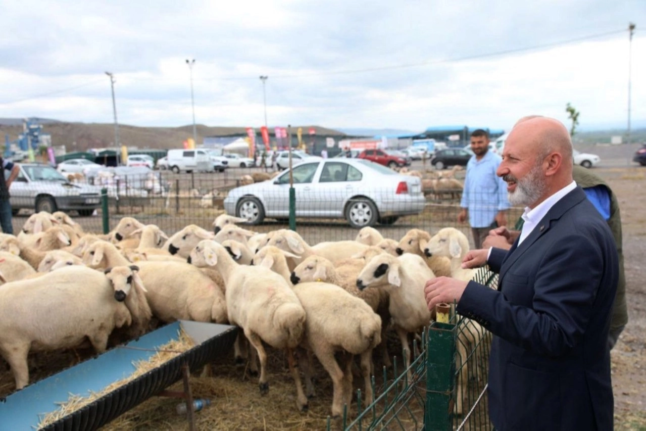 Kayseri Kocasinan'dan Türkiye'ye örnek 'kurban' ihalesi 