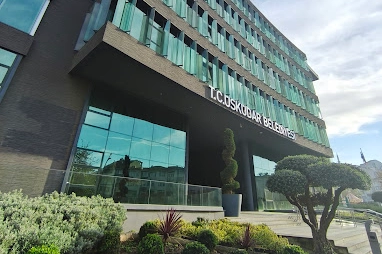 Üsküdar Belediyesi’nde 'ruhsat' soruşturması! Belediye Başkan Yardımcısı dahil 20 şüpheliye gözaltı 