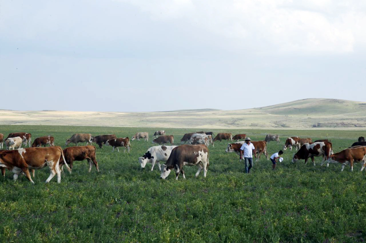 Kars Ani'de meralar yasaklandı mı? Açıklama geldi 