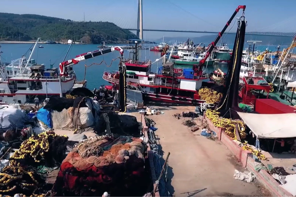 Hamside rekor sezon... 245 bin ton avcılıkla bereketli kapanış 