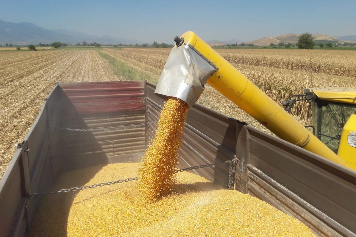 Mısır ithalatına 3 milyon tonluk tarife kontenjanı 