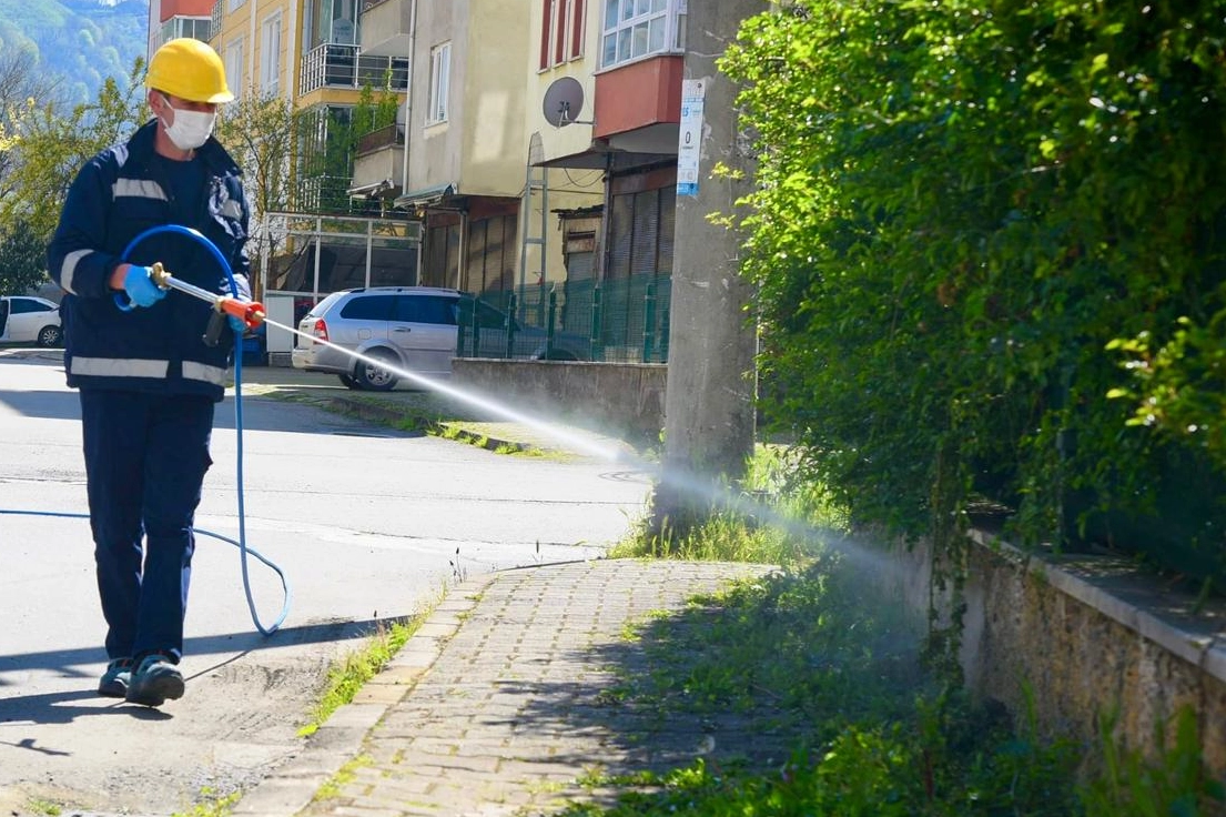 Bu ili kokarcalar istila etti 