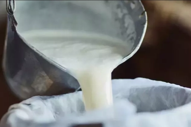 Çiğ süt üretimi 2025’te geriledi! Manda ve keçi sütü sert düştü! 