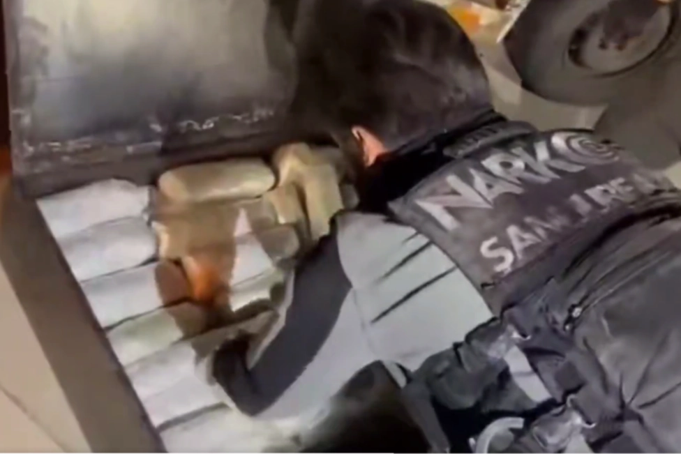 Şanlıurfa’da 20 kilogram skunk ele geçirildi 