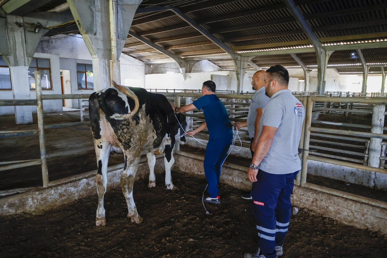Antalya'da kurban yakalama timi göreve hazır 