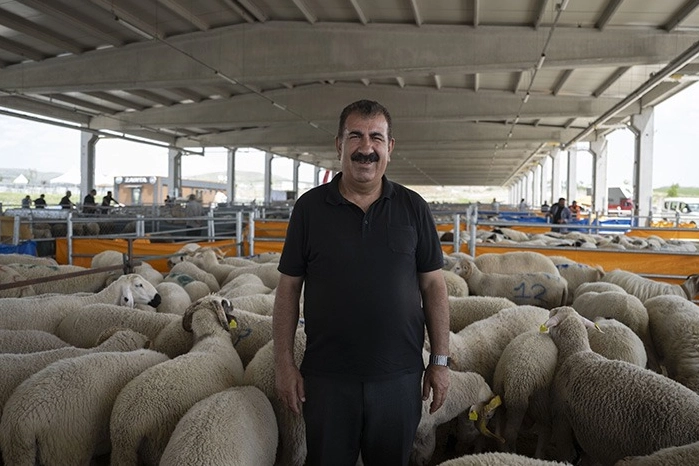 TÜRKYED'den kurbanlık uyarılar! 