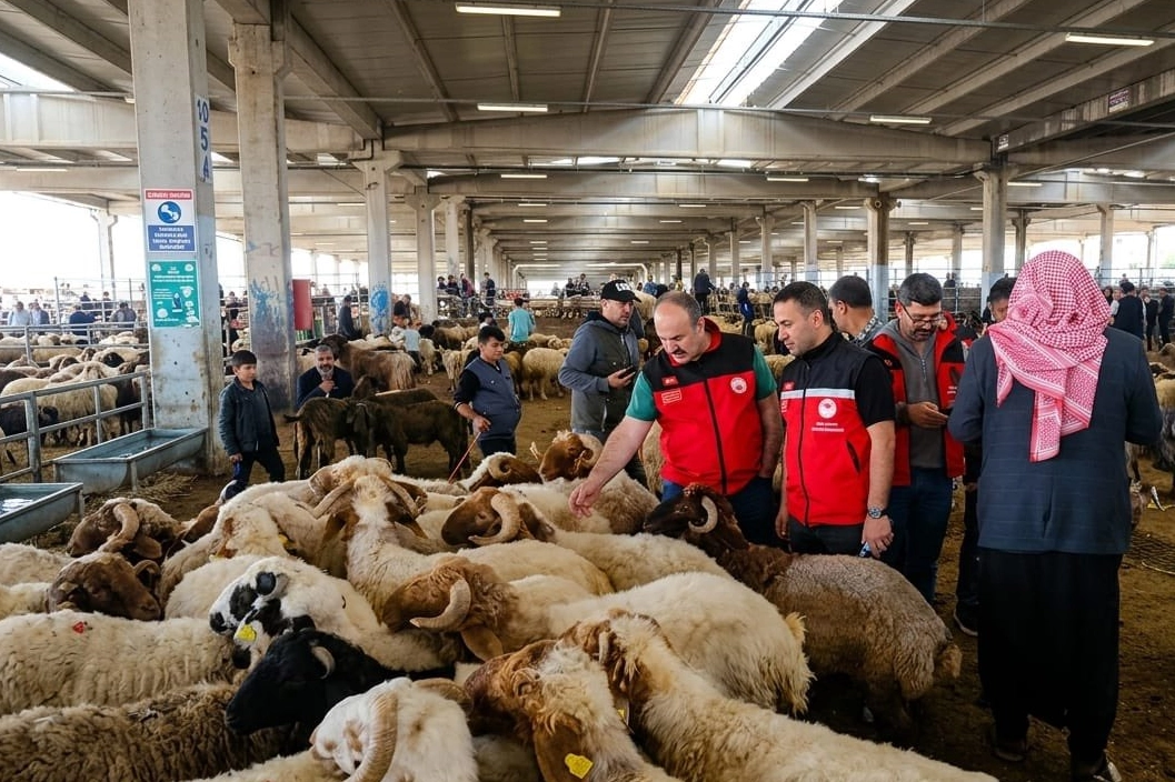 Kurban denetimleri 81 ilde sıkılaştırıldı 