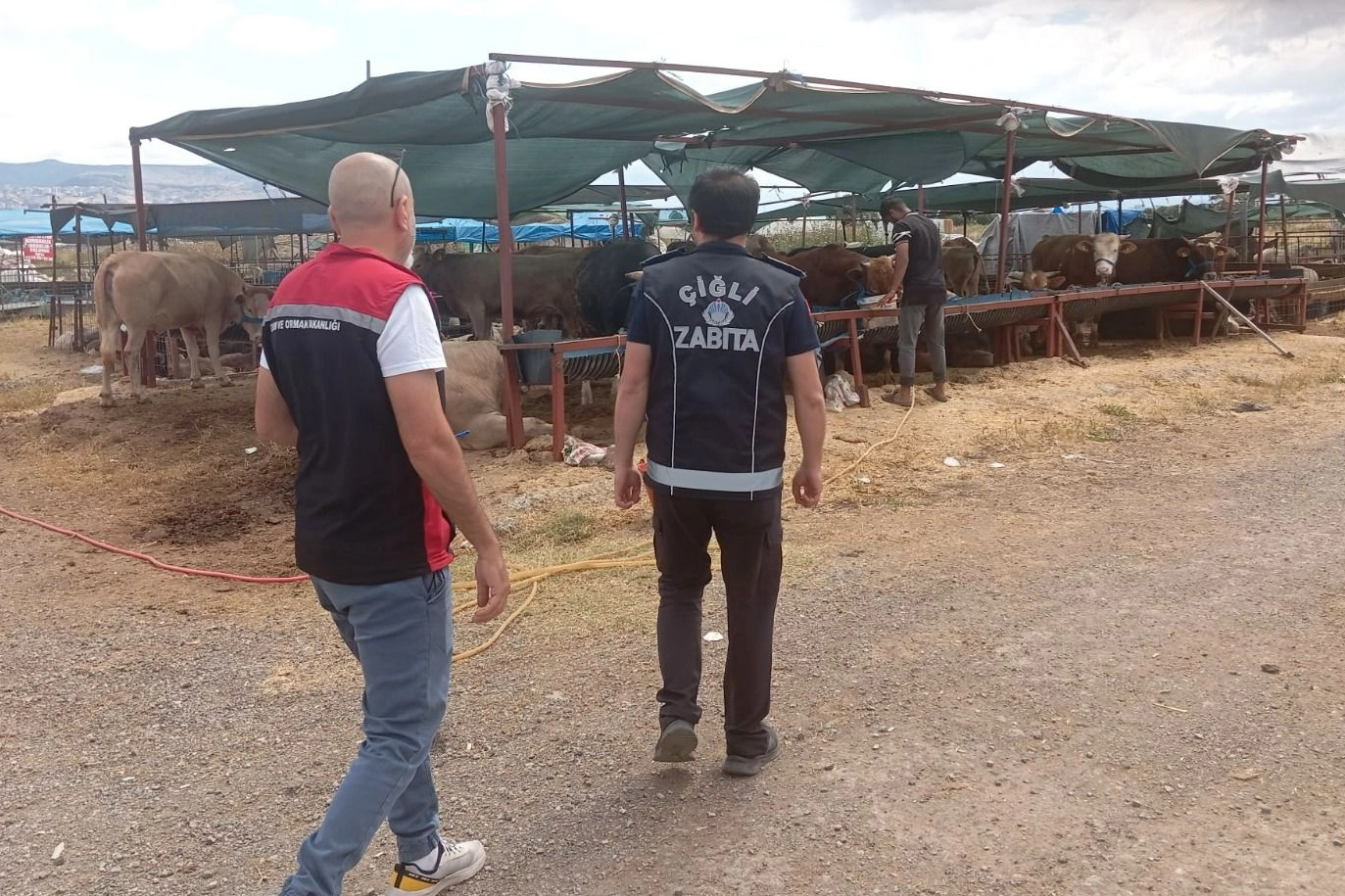 Çiğli’de kurban denetimleri aralıksız sürüyor 