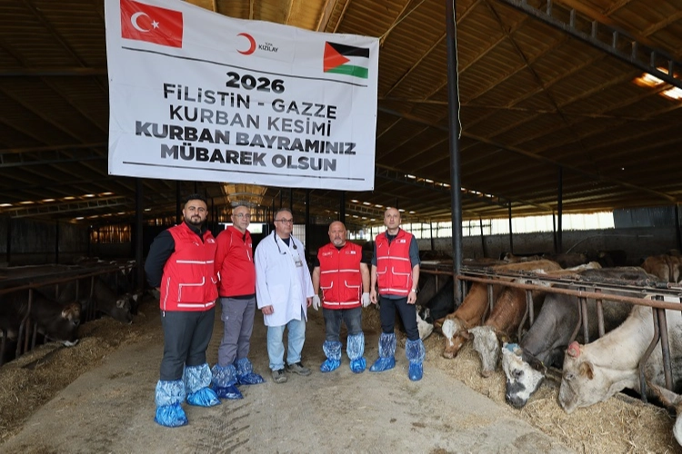 Türk Kızılayı'ndan vekaletle kurban kesimi 