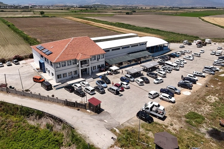 Hatay'da mezbahaneler tam gaz çalışıyor 