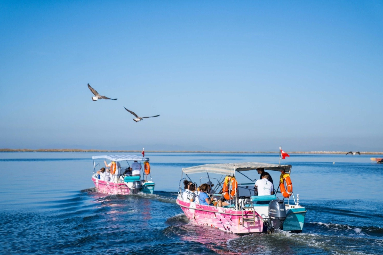 Flamingo Yolu turları bayramda da devam ediyor 