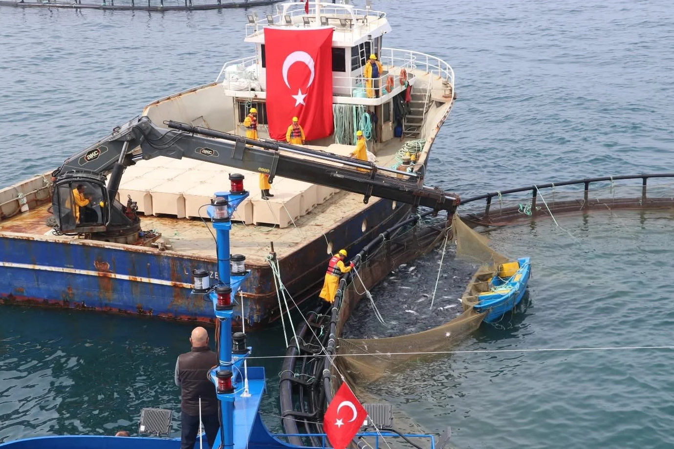 Avcılıkta artış, iç sularda düşüş! 