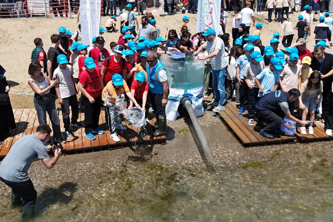 İzmit Körfezi’ne 100 yapay resif ve 6 bin balık bırakıldı 