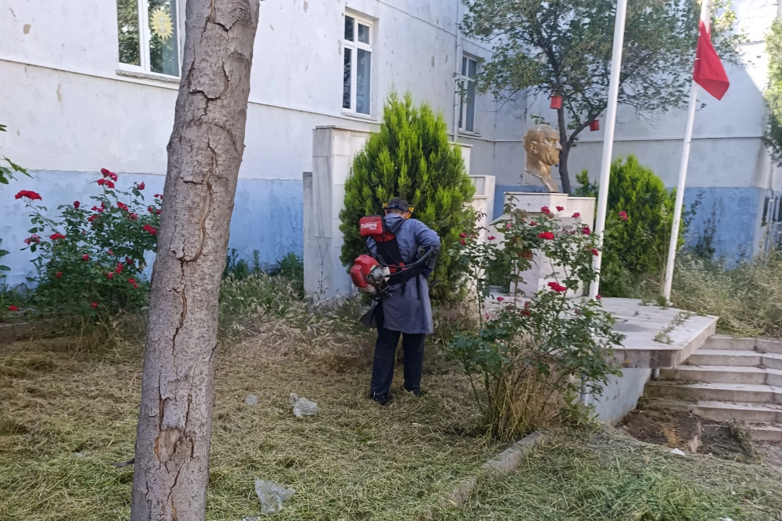 Edirne'de Kurtuluş İlkokulu'ndaki 'ot' krizinde belediye şaşırttı! 