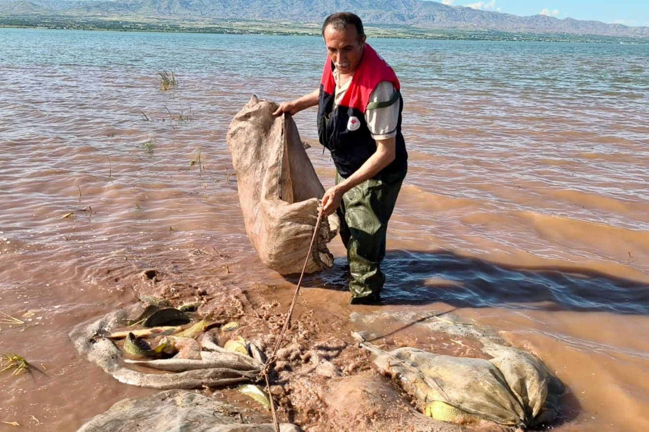 Keban Baraj Gölü’nde 700 kilo canlı sazan kurtarıldı! 
