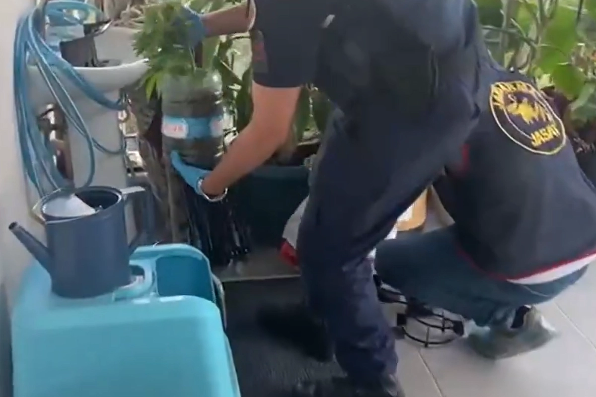 Jandarma’dan 5 ilde uyuşturucuya 341 gözaltı 