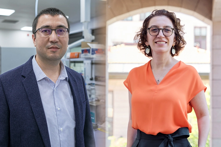 Koç Üniversitesi’nden ERC başarısı... Türkiye’nin iki projesi de Koç’tan çıktı 