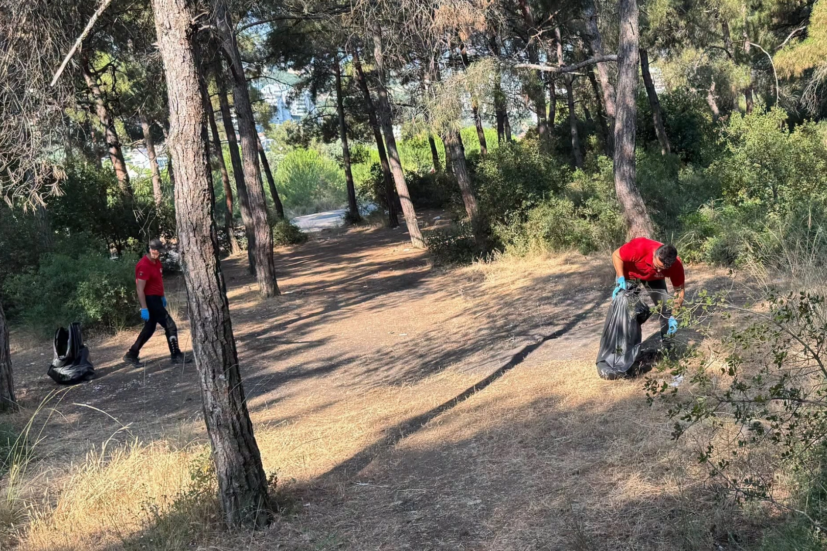 Güzelyalı Çamlıbel’de orman yangını riskine karşı temizlik çalışması 