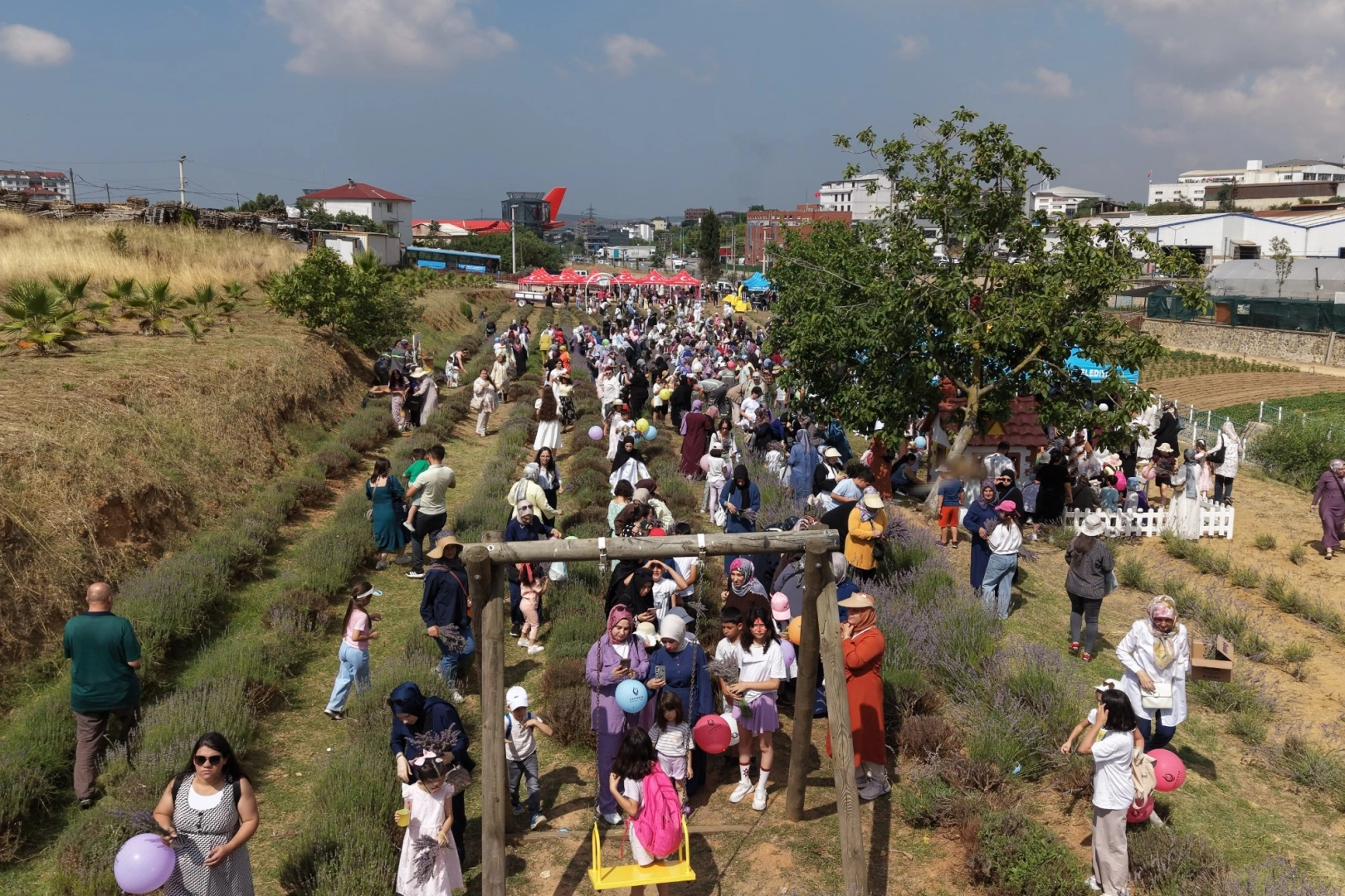 Çayırovalılar Lavanta Hasadı'nda buluştu 
