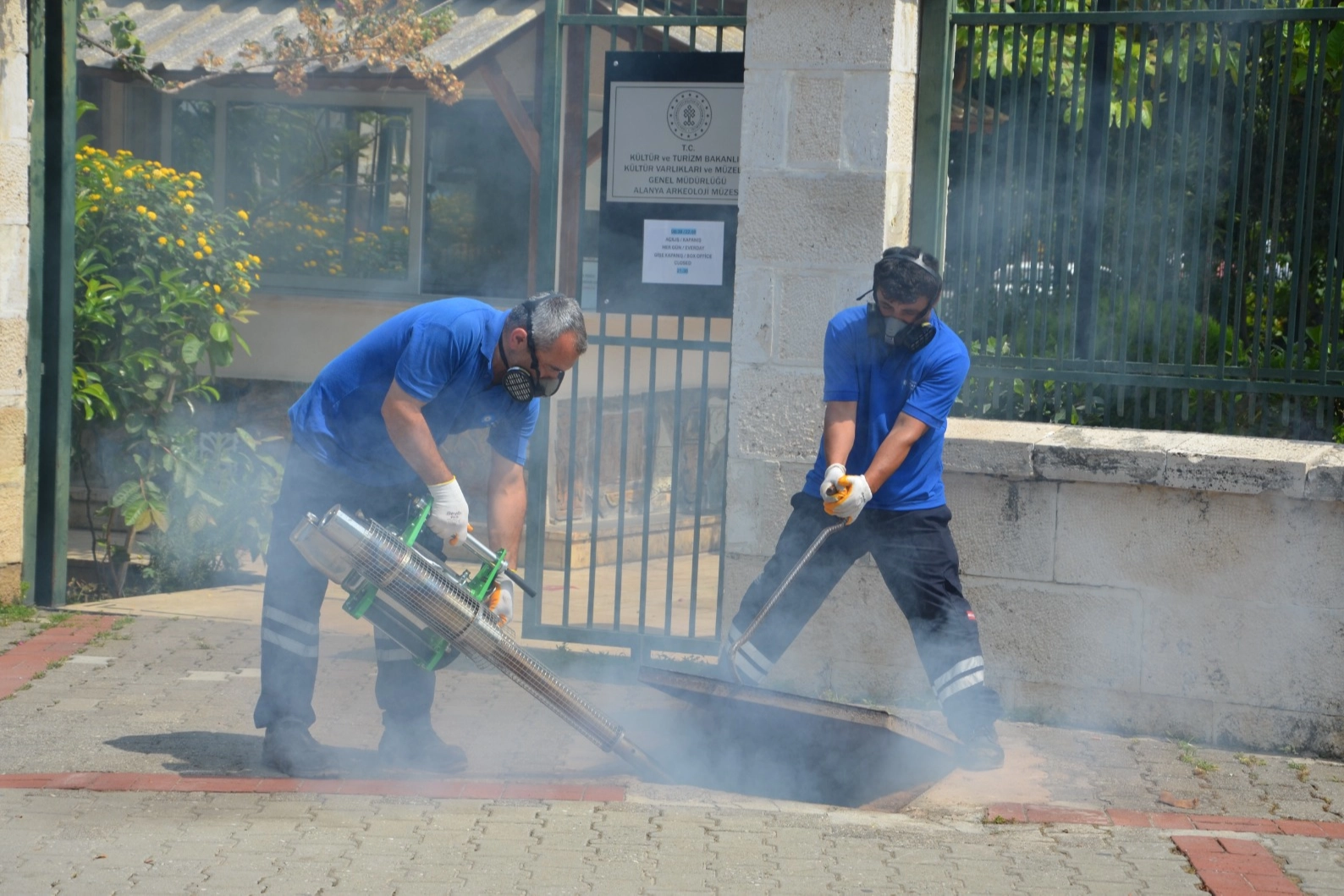 Antalya'da vektörel mücadele 4 koldan yürütülüyor 