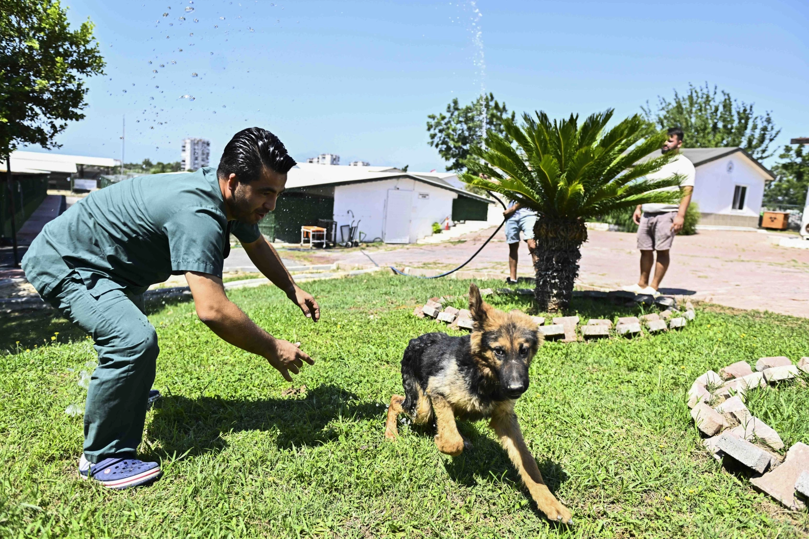 Antalya Muratpaşa’dan patili dostlara serin dokunuş 