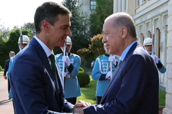 Erdoğan, İspanya Başbakanı Sánchez ile görüştü 