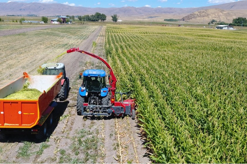 Tarım ve hayvancılıkta Erzurum modeli 