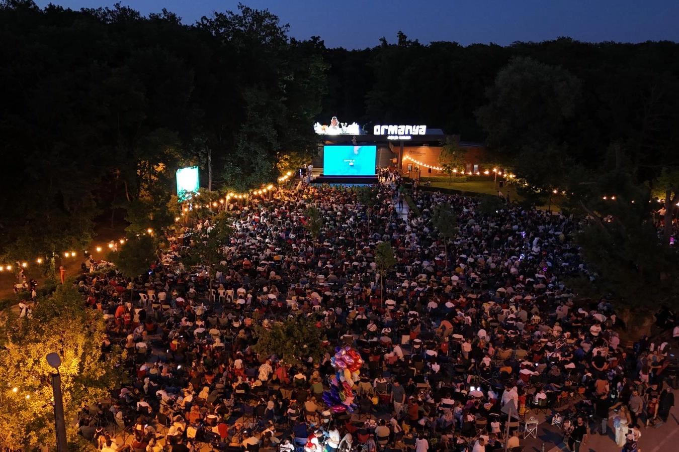 Orman içinde sinema keyfi 