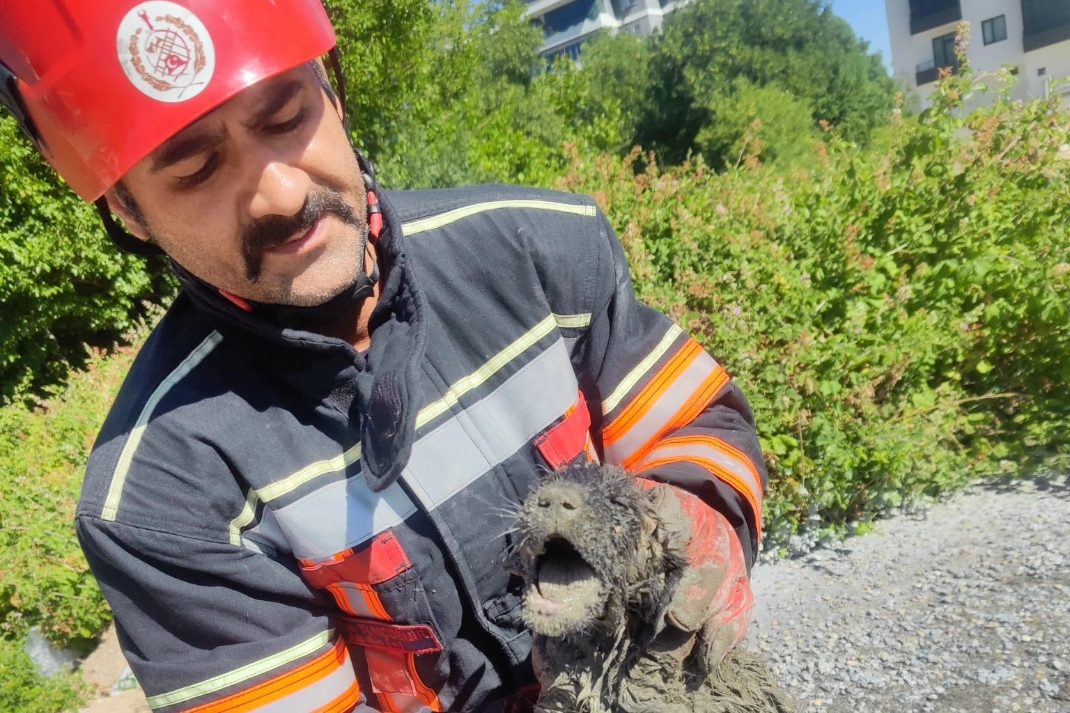 Malatya itfaiyesinden can dosta yardım eli 