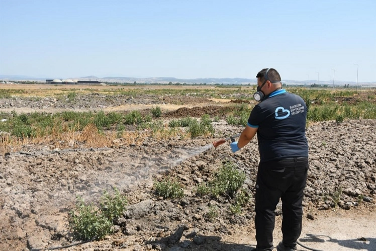 Balıkesir'de ilaçlama ekipleri sahada 