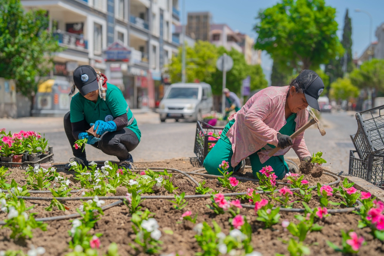 Daha yeşil Milas için yoğun çalışma 